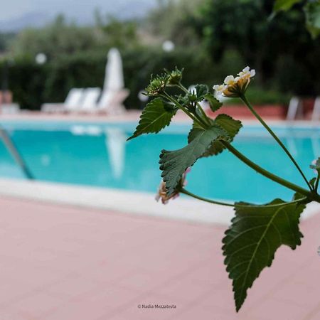 Il Casale Il Sole E La Margherita Campofelice Di Roccella Exterior foto