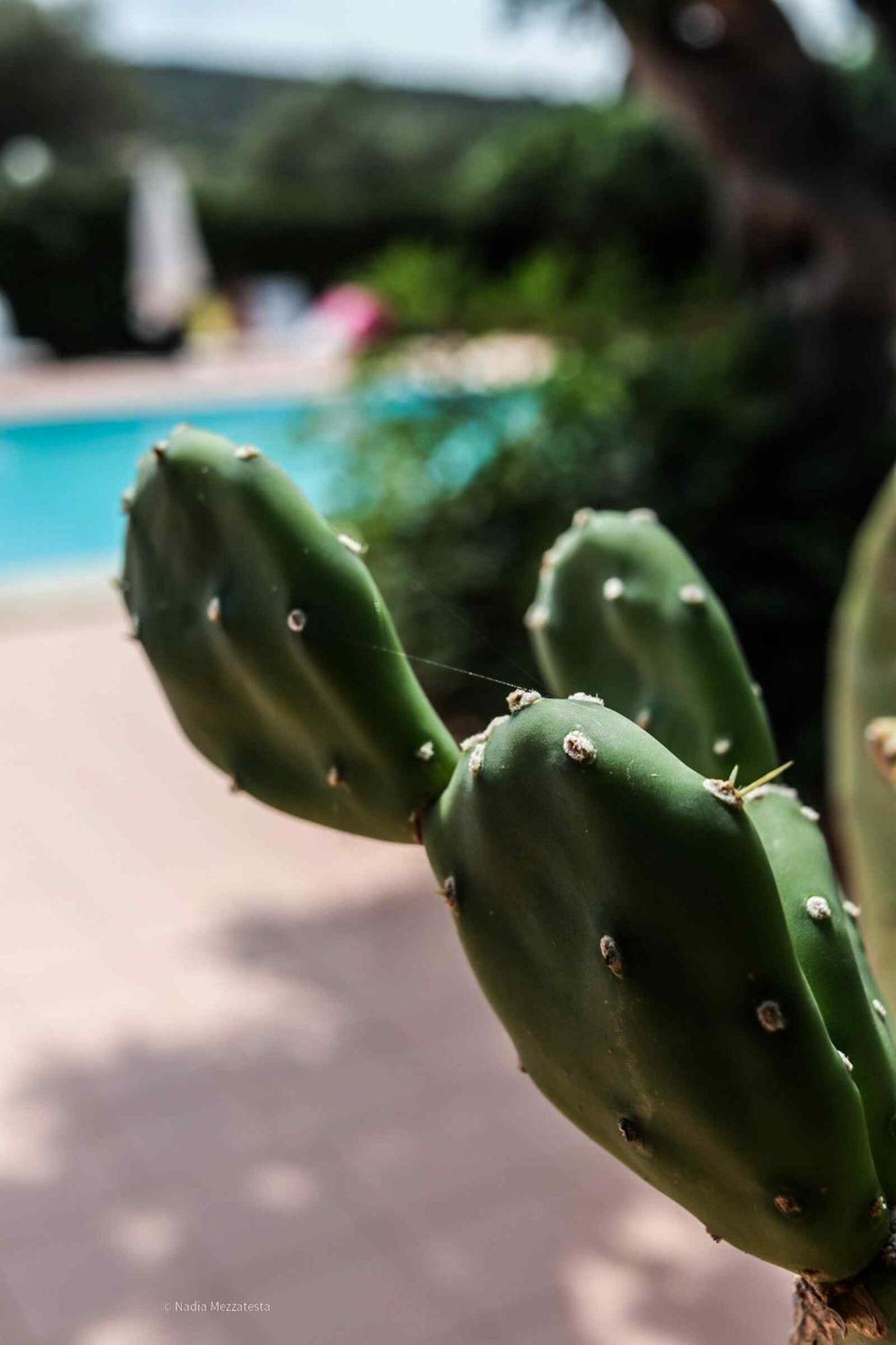 Il Casale Il Sole E La Margherita Campofelice Di Roccella Exterior foto