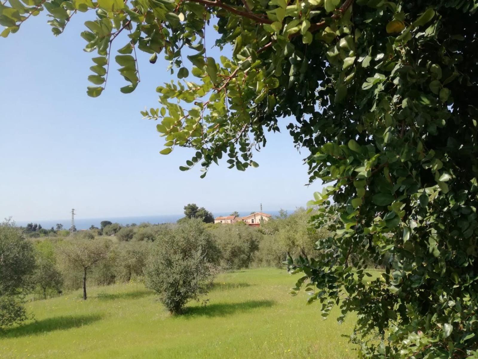 Il Casale Il Sole E La Margherita Campofelice Di Roccella Exterior foto